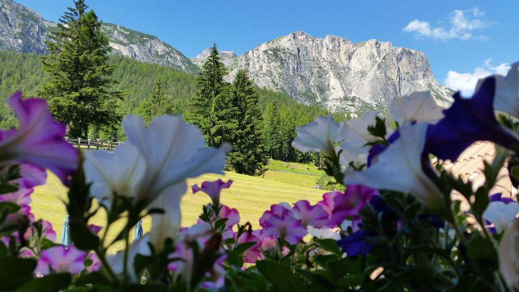 Chalet Alla Cascata Apartment บาเดีย ภายนอก รูปภาพ